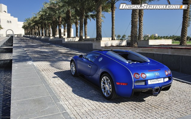 Bugatti Veyron Grant Sport 2010 Widescreen Picture #77 Bugatti Veyron Grant Sport 2010 Widescreen Picture #77