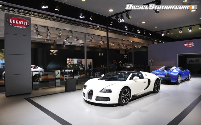 Bugatti Veyron Grant Sport 2010 Widescreen Picture #18 Bugatti Veyron Grant Sport 2010 Widescreen Picture #18