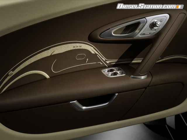 Bugatti Veyron Jean 2013 Picture #4 Bugatti Veyron Jean 2013 Picture #4