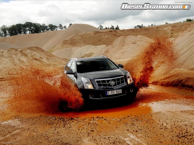 Cadillac SRX 2011 Picture #23 Cadillac SRX 2011 Picture #23