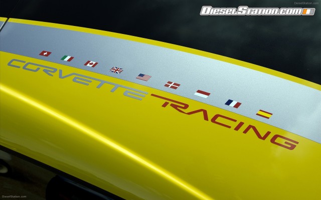 Chevrolet 2009 GT1 Championship Edition Widescreen Picture #28 Chevrolet 2009 GT1 Championship Edition Widescreen Picture #28