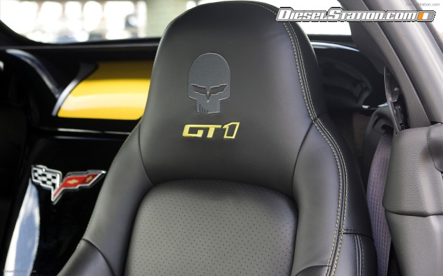 Chevrolet 2009 GT1 Championship Edition Widescreen Picture #16 Chevrolet 2009 GT1 Championship Edition Widescreen Picture #16