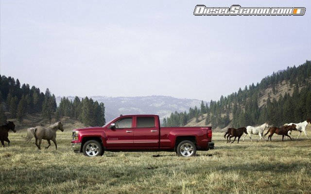 Chevrolet Silverado 2014 Widescreen Picture #47 Chevrolet Silverado 2014 Widescreen Picture #47
