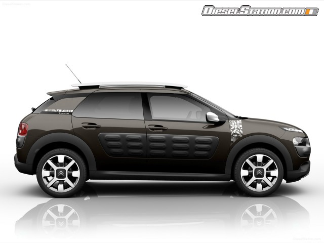 Citroen C4 Cactus Rip Curl 2017 Picture #36 Citroen C4 Cactus Rip Curl 2017 Picture #36