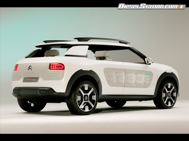 Citroen Cactus Concept 2013 Picture #10 Citroen Cactus Concept 2013 Picture #10