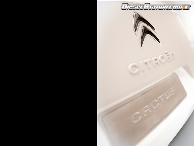 Citroen Cactus Concept 2013 Picture #64 Citroen Cactus Concept 2013 Picture #64