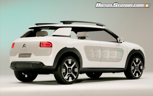 Citroen Cactus Concept 2013 Widescreen Picture #59 Citroen Cactus Concept 2013 Widescreen Picture #59
