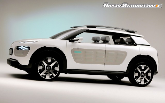 Citroen Cactus Concept 2013 Widescreen Picture #22 Citroen Cactus Concept 2013 Widescreen Picture #22