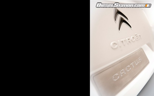 Citroen Cactus Concept 2013 Widescreen Picture #58 Citroen Cactus Concept 2013 Widescreen Picture #58