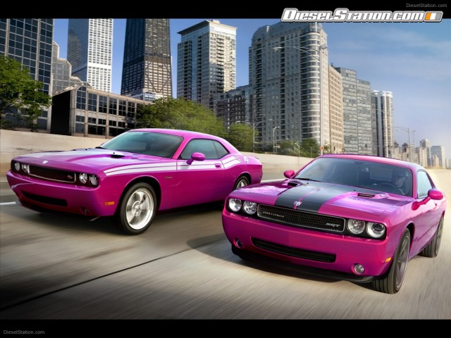 Dodge Challenger R T Classic Furious Fuchsia 2010 Picture #8 Dodge Challenger R T Classic Furious Fuchsia 2010 Picture #8