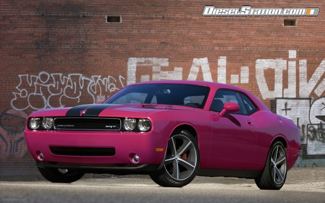 Dodge Challenger R T Classic Furious Fuchsia 2010 Widescreen Picture #5 Dodge Challenger R T Classic Furious Fuchsia 2010 Widescreen Picture #5