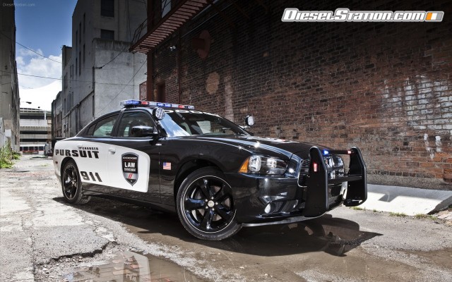 Dodge Charger Pursuit 2013 Widescreen Picture #18 Dodge Charger Pursuit 2013 Widescreen Picture #18