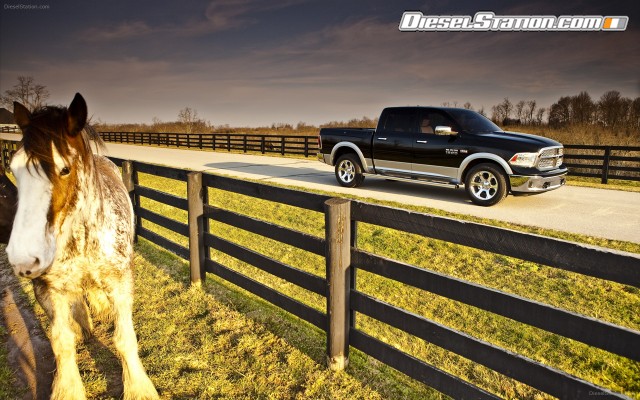 Dodge Ram 1500 2013 Widescreen Picture #5 Dodge Ram 1500 2013 Widescreen Picture #5