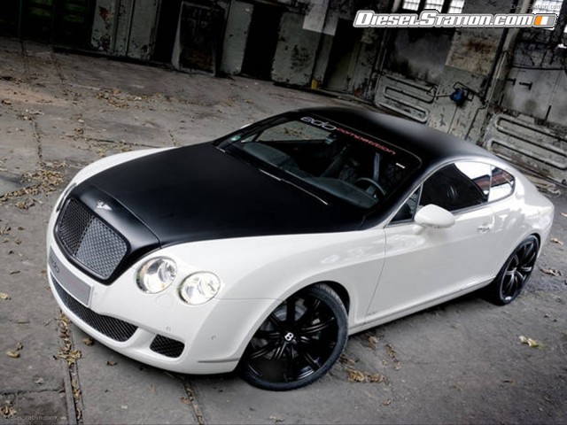 Edo 2009 Bentley Speed GT Picture #18 Edo 2009 Bentley Speed GT Picture #18