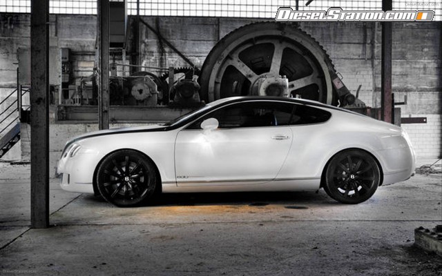 Edo 2009 Bentley Speed GT Widescreen Picture #25 Edo 2009 Bentley Speed GT Widescreen Picture #25