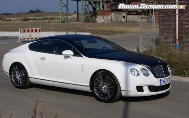 Edo 2009 Bentley Speed GT Widescreen Picture #10 Edo 2009 Bentley Speed GT Widescreen Picture #10