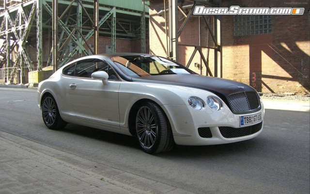 Edo 2009 Bentley Speed GT Widescreen Picture #14 Edo 2009 Bentley Speed GT Widescreen Picture #14