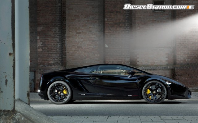 Edo Gallardo LP600 4 Widescreen Picture #6 Edo Gallardo LP600 4 Widescreen Picture #6