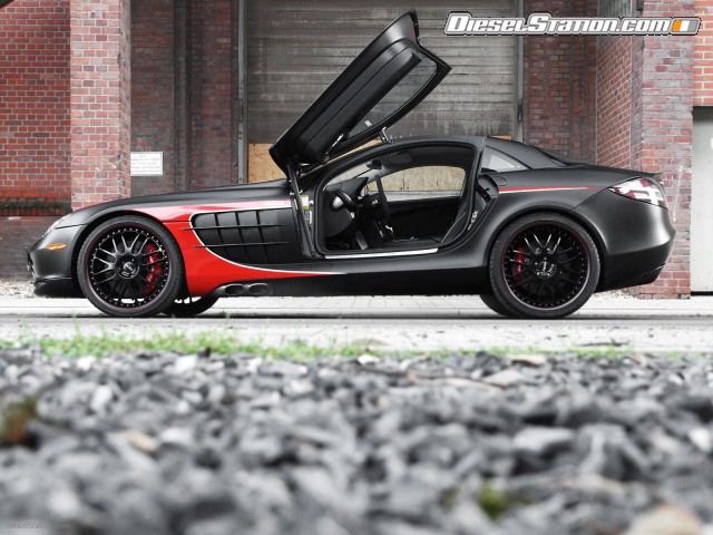 Edo SLR Black Arrow 2011 Picture #16 Edo SLR Black Arrow 2011 Picture #16