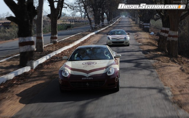 Ferrari Magic India Widescreen Picture #33 Ferrari Magic India Widescreen Picture #33