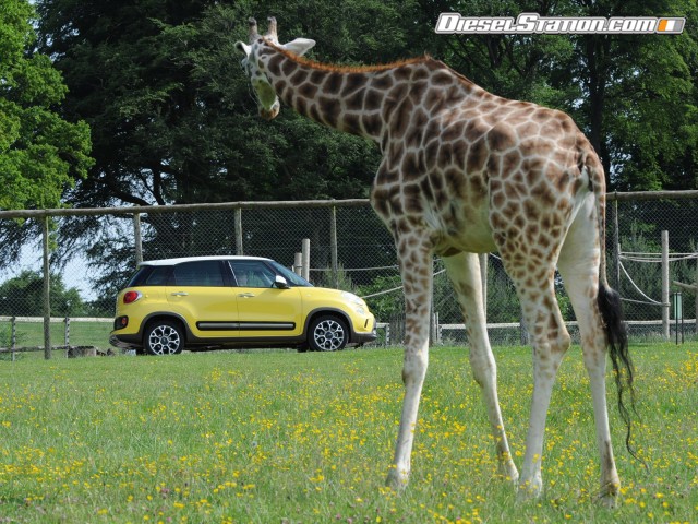 Fiat Trekking 2014 Picture #40 Fiat Trekking 2014 Picture #40