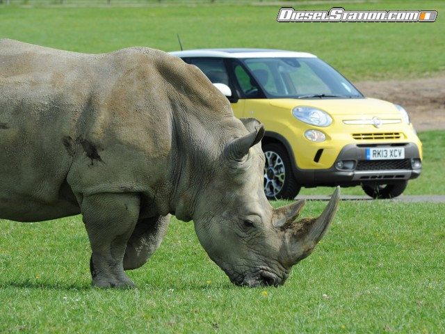 Fiat Trekking 2014 Picture #38 Fiat Trekking 2014 Picture #38