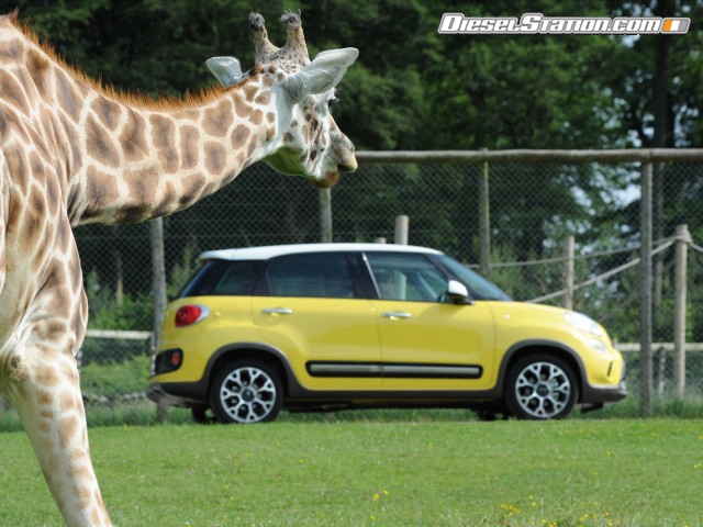 Fiat Trekking 2014 Picture #34 Fiat Trekking 2014 Picture #34