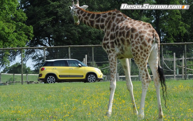 Fiat Trekking 2014 Widescreen Picture #5 Fiat Trekking 2014 Widescreen Picture #5