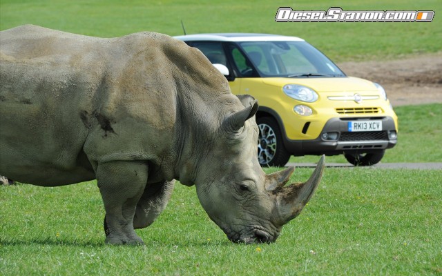 Fiat Trekking 2014 Widescreen Picture #97 Fiat Trekking 2014 Widescreen Picture #97