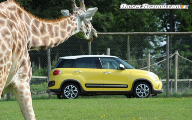 Fiat Trekking 2014 Widescreen Picture #92 Fiat Trekking 2014 Widescreen Picture #92