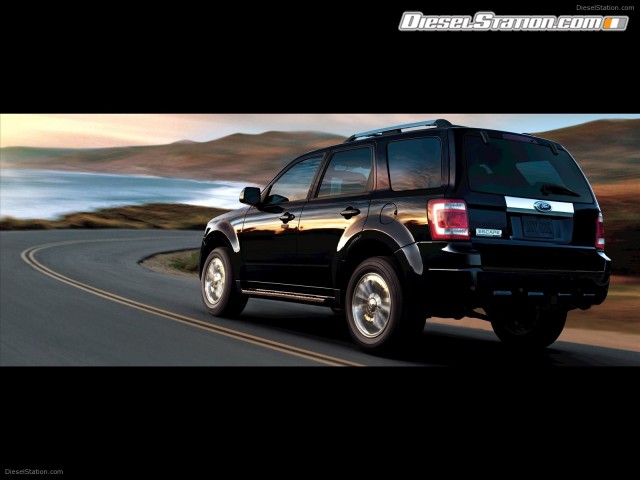 Ford 2010 Escape Picture #17 Ford 2010 Escape Picture #17