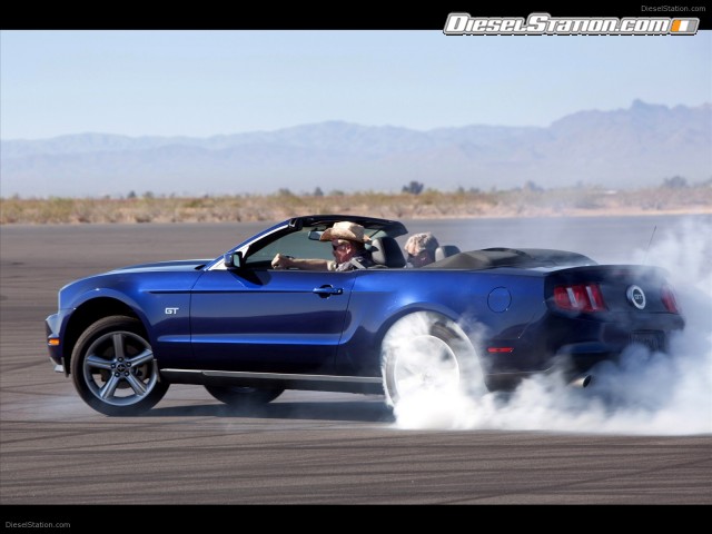 Ford 2010 Mustang Picture #15 Ford 2010 Mustang Picture #15