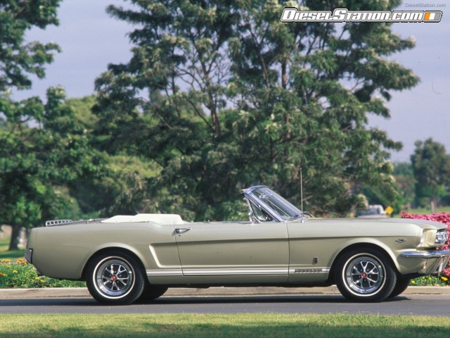 Ford CELEBRATES 45TH ANNIVERSARY OF MUSTANG Picture #6 Ford CELEBRATES 45TH ANNIVERSARY OF MUSTANG Picture #6
