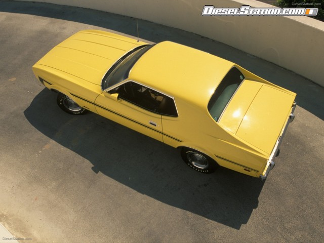 Ford CELEBRATES 45TH ANNIVERSARY OF MUSTANG Picture #13 Ford CELEBRATES 45TH ANNIVERSARY OF MUSTANG Picture #13