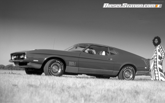 Ford CELEBRATES 45TH ANNIVERSARY OF MUSTANG Widescreen Picture #29 Ford CELEBRATES 45TH ANNIVERSARY OF MUSTANG Widescreen Picture #29