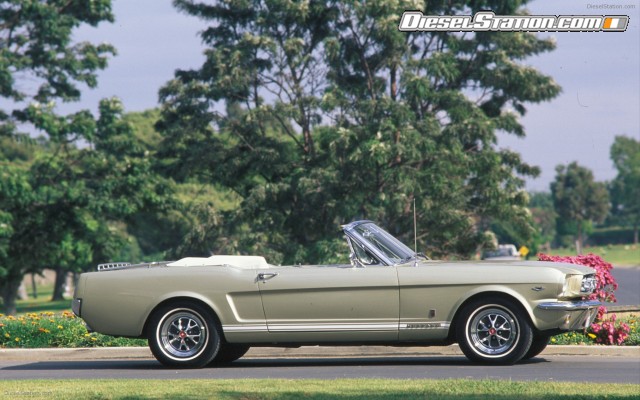 Ford CELEBRATES 45TH ANNIVERSARY OF MUSTANG Widescreen Picture #45 Ford CELEBRATES 45TH ANNIVERSARY OF MUSTANG Widescreen Picture #45