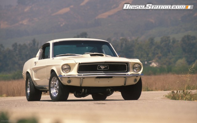 Ford CELEBRATES 45TH ANNIVERSARY OF MUSTANG Widescreen Picture #64 Ford CELEBRATES 45TH ANNIVERSARY OF MUSTANG Widescreen Picture #64