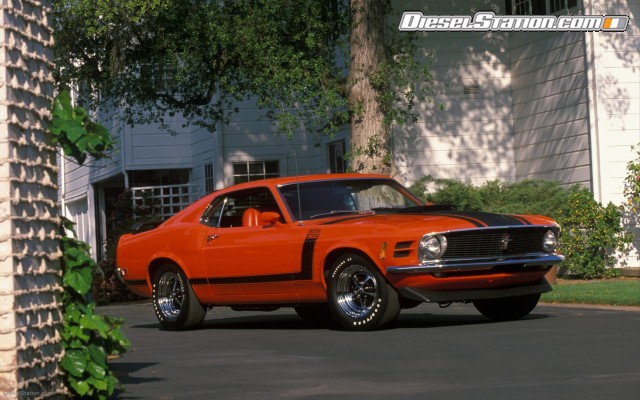 Ford CELEBRATES 45TH ANNIVERSARY OF MUSTANG Widescreen Picture #94 Ford CELEBRATES 45TH ANNIVERSARY OF MUSTANG Widescreen Picture #94