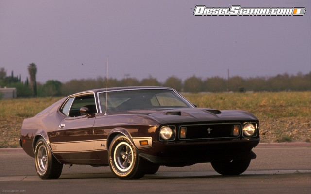 Ford CELEBRATES 45TH ANNIVERSARY OF MUSTANG Widescreen Picture #19 Ford CELEBRATES 45TH ANNIVERSARY OF MUSTANG Widescreen Picture #19