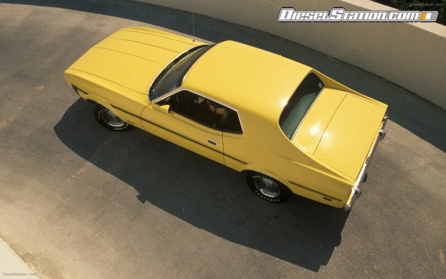 Ford CELEBRATES 45TH ANNIVERSARY OF MUSTANG Widescreen Picture #86 Ford CELEBRATES 45TH ANNIVERSARY OF MUSTANG Widescreen Picture #86