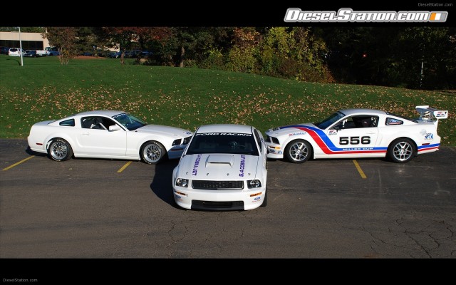 Ford Cobra Jet Mustang Widescreen Picture #11 Ford Cobra Jet Mustang Widescreen Picture #11