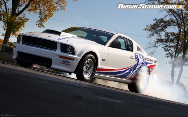Ford Cobra Jet Mustang Widescreen Picture #4 Ford Cobra Jet Mustang Widescreen Picture #4