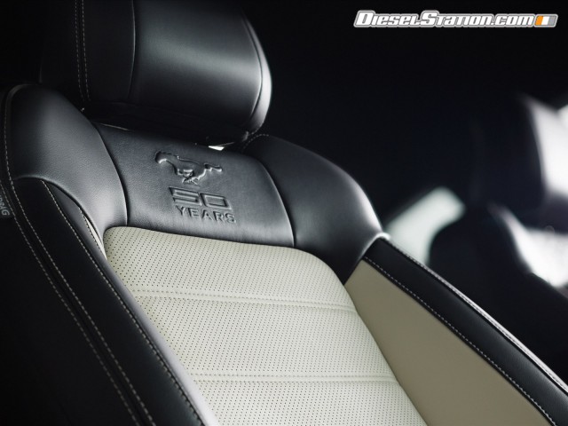 Ford Mustang 50 Year Limited Edition 2015 Picture #3 Ford Mustang 50 Year Limited Edition 2015 Picture #3