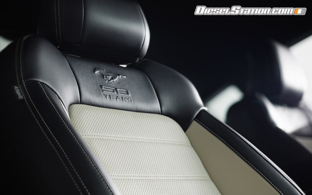 Ford Mustang 50 Year Limited Edition 2015 Widescreen Picture #13 Ford Mustang 50 Year Limited Edition 2015 Widescreen Picture #13
