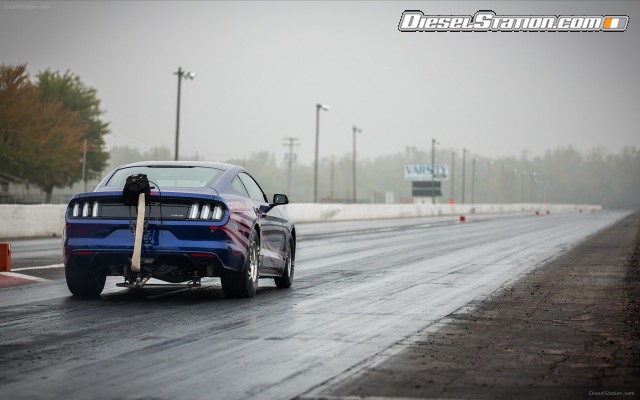 Ford Mustang Cobra Jet 2016 Widescreen Picture #10 Ford Mustang Cobra Jet 2016 Widescreen Picture #10