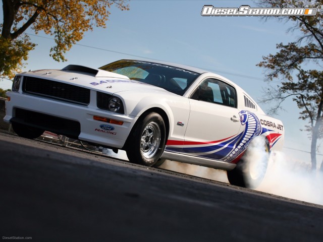 Ford Mustang FR500CJ Cobra Jet Picture #3 Ford Mustang FR500CJ Cobra Jet Picture #3