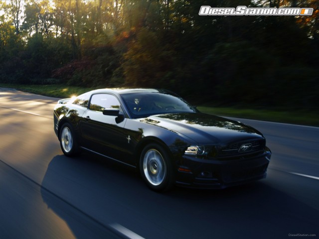 Ford Mustang GT 2013 Picture #41 Ford Mustang GT 2013 Picture #41