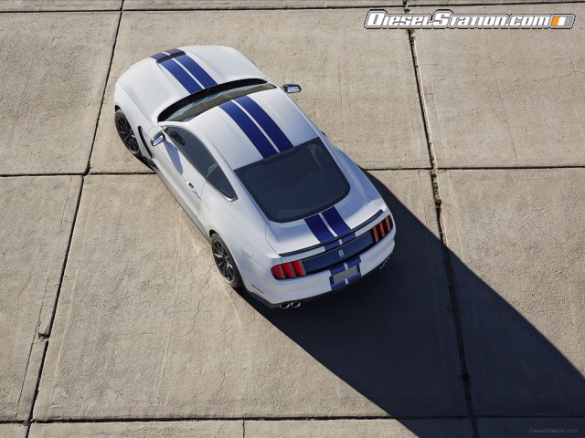 Ford Mustang Shelby GT350 2016 Picture #6 Ford Mustang Shelby GT350 2016 Picture #6