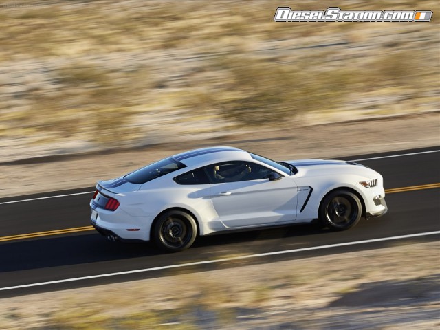 Ford Mustang Shelby GT350 2016 Picture #15 Ford Mustang Shelby GT350 2016 Picture #15