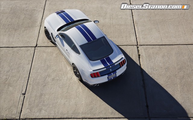 Ford Mustang Shelby GT350 2016 Widescreen Picture #8 Ford Mustang Shelby GT350 2016 Widescreen Picture #8